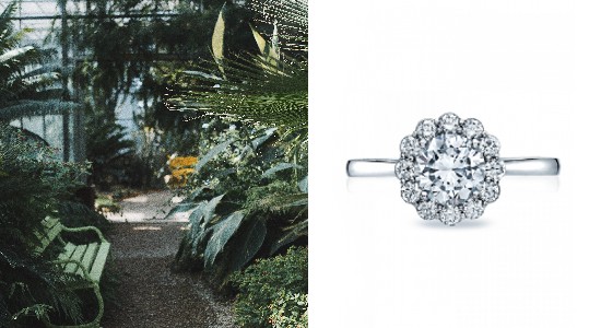 a photo of a botanical garden next to a floral halo engagement ring