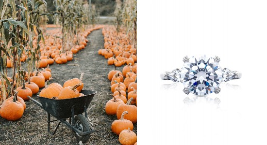 image of a pumpkin patch next to a three stone engagement ring with a round center stone