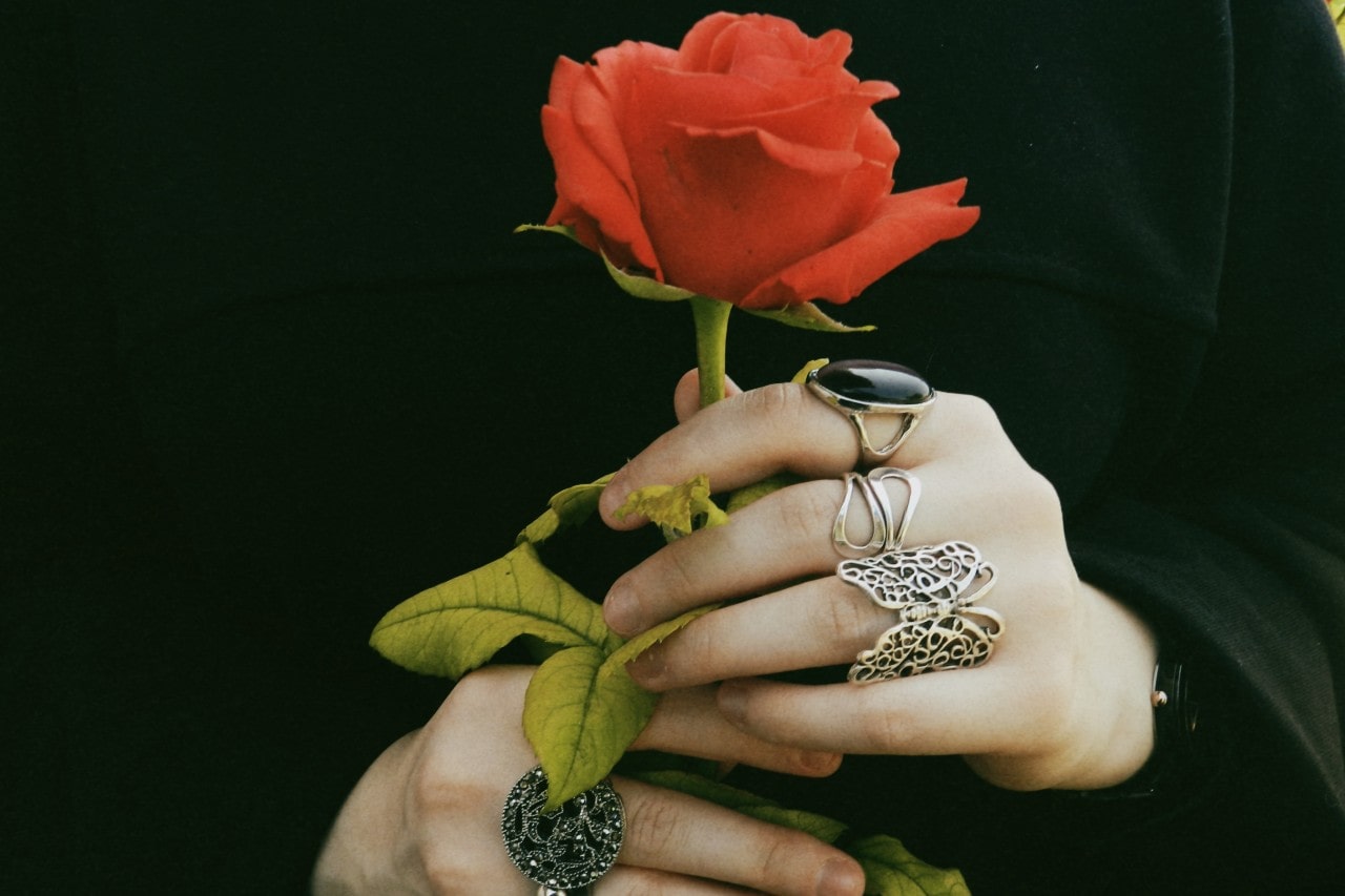 close up image of a pair of hands holding a rose and wearing silver and black rings