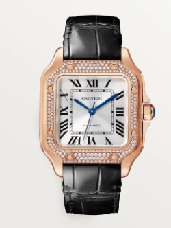 Cartier Watch  WJSA0012