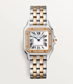 Cartier Watch  W3PN0007