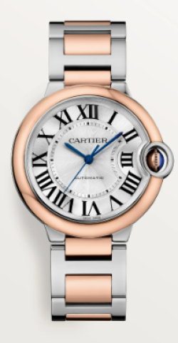 Cartier Watch  W2BB0033