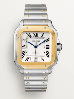 Cartier Watch  W2SA0009