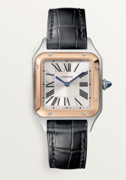 Cartier Watch  W2SA0012