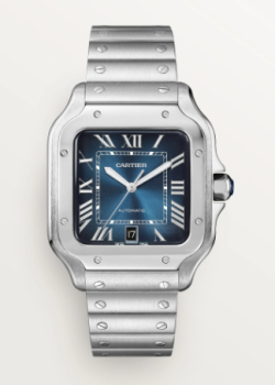 Cartier Watch  WSSA0030