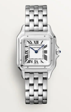 Cartier Watch  WSPN0007