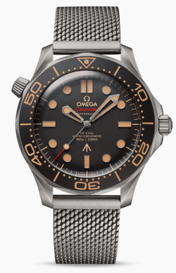 Omega Watch  21090422001001