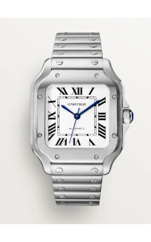 Cartier Watch  WSSA0029