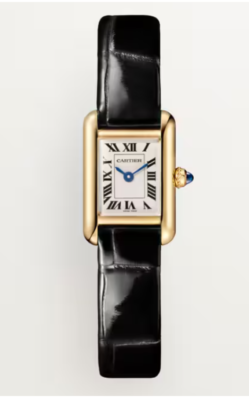Cartier Watch  WGTA0352