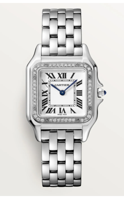 Cartier Watch  W4PN0018