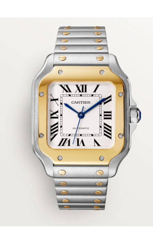 Cartier Watch  W2SA0016