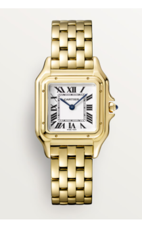 Cartier Watch  WGPN0009