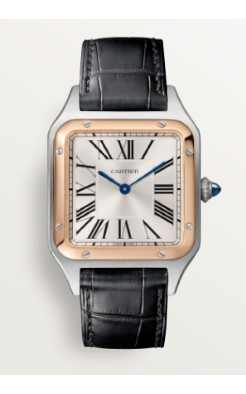 Cartier Watch  W2SA0011