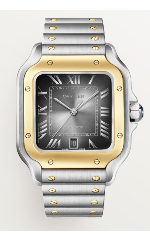 Cartier Watch  W2SA0030