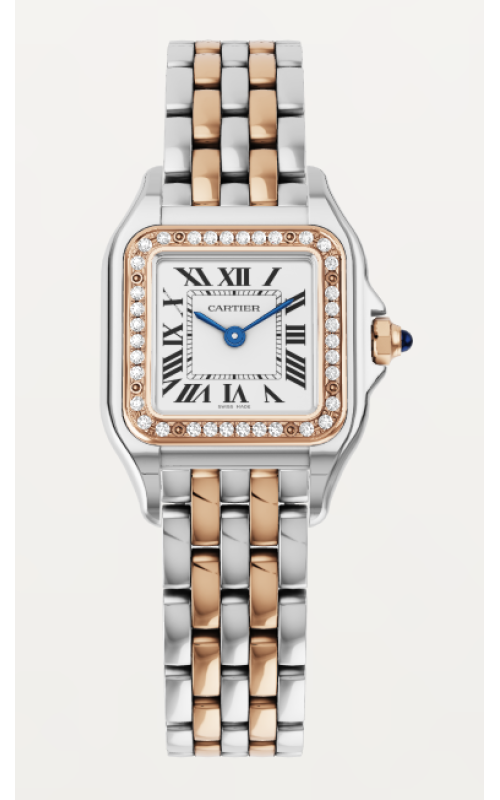 Cartier Watch  W3PN0006