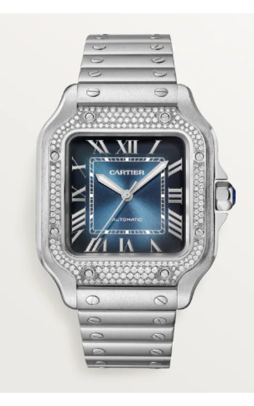 Cartier Watch  W4SA0006