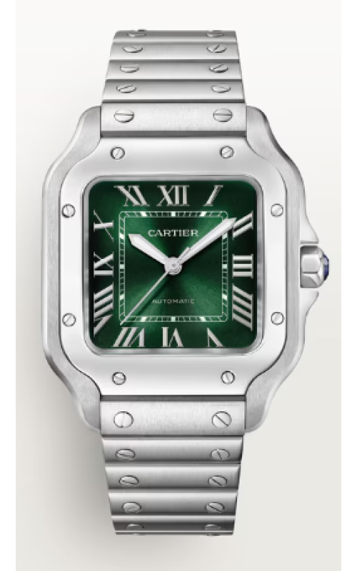 Cartier Watch  WSSA0061
