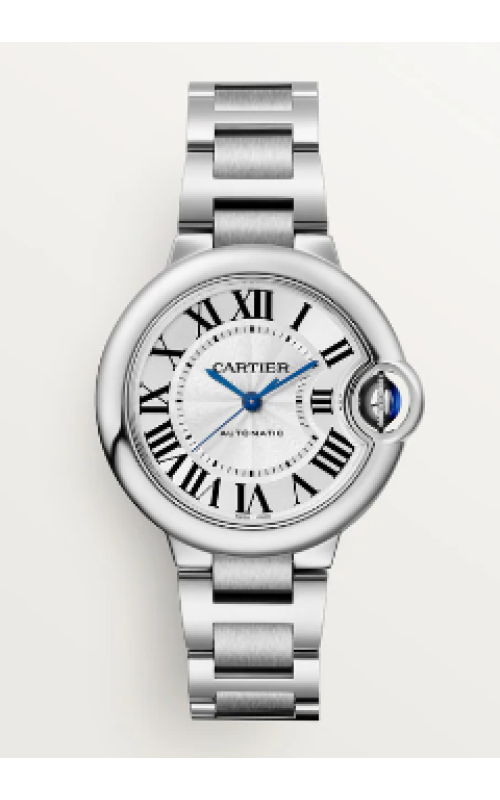 Cartier Watch  WSBB0044