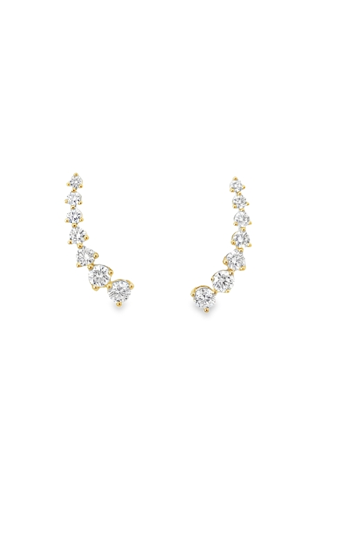 Memoire Earrings  FEDD19800008Y72000