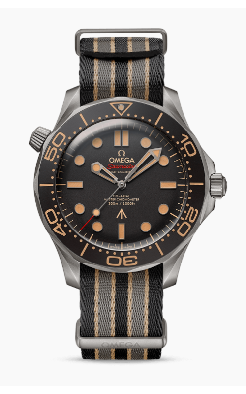 Omega Watch  21092422001001